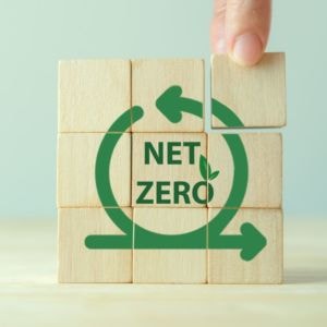 Wooden blocks showing a net zero logo
