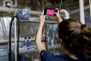 Woman using a device to perform thermal imaging in a room